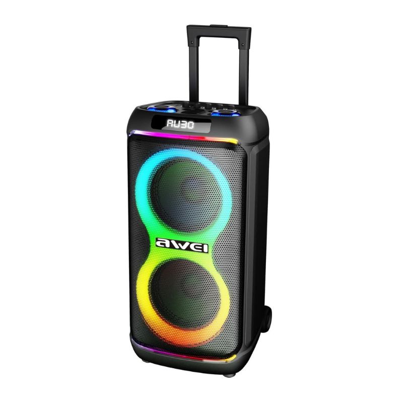 AWEI KT33 Bluetooth Speaker Troly with 2 Microphone