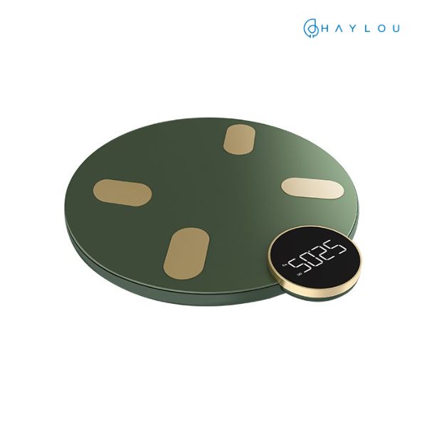 HAYLOU Smart Body Fat Scale HS01B