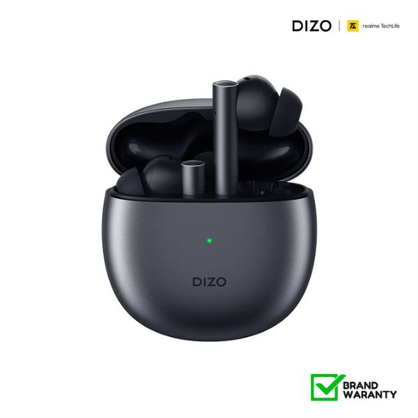 Dizo Gopods True Wireless Earbuds