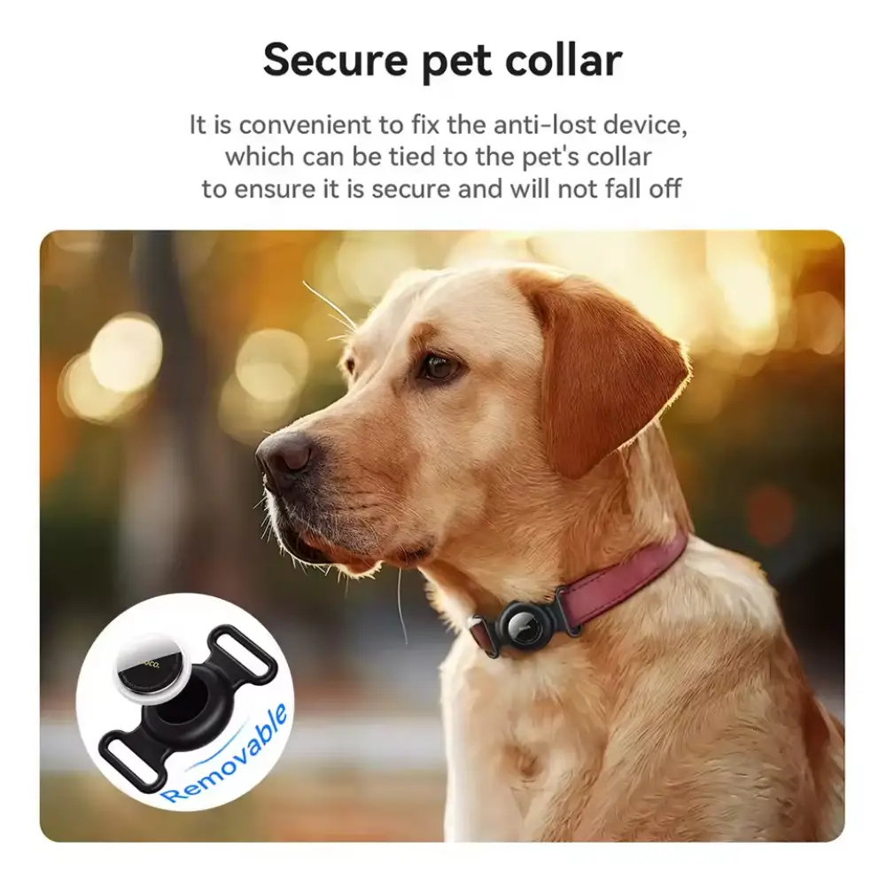 Dog wearing pet collar with removable anti-lost tracker holder attached to the collar