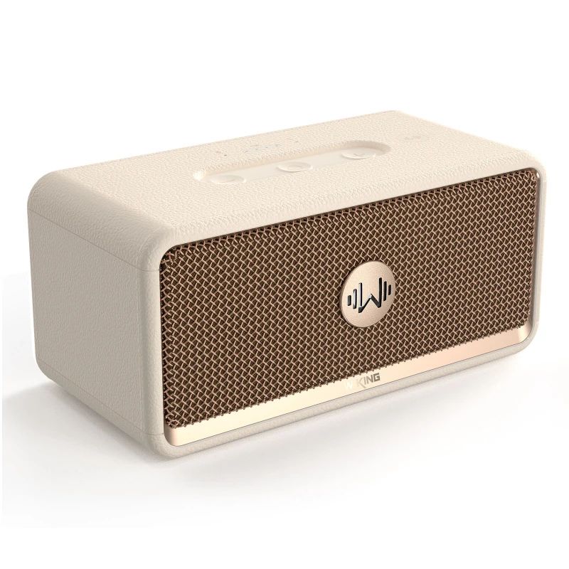 W-King H130 Portable Speakers 40W Boomboxes