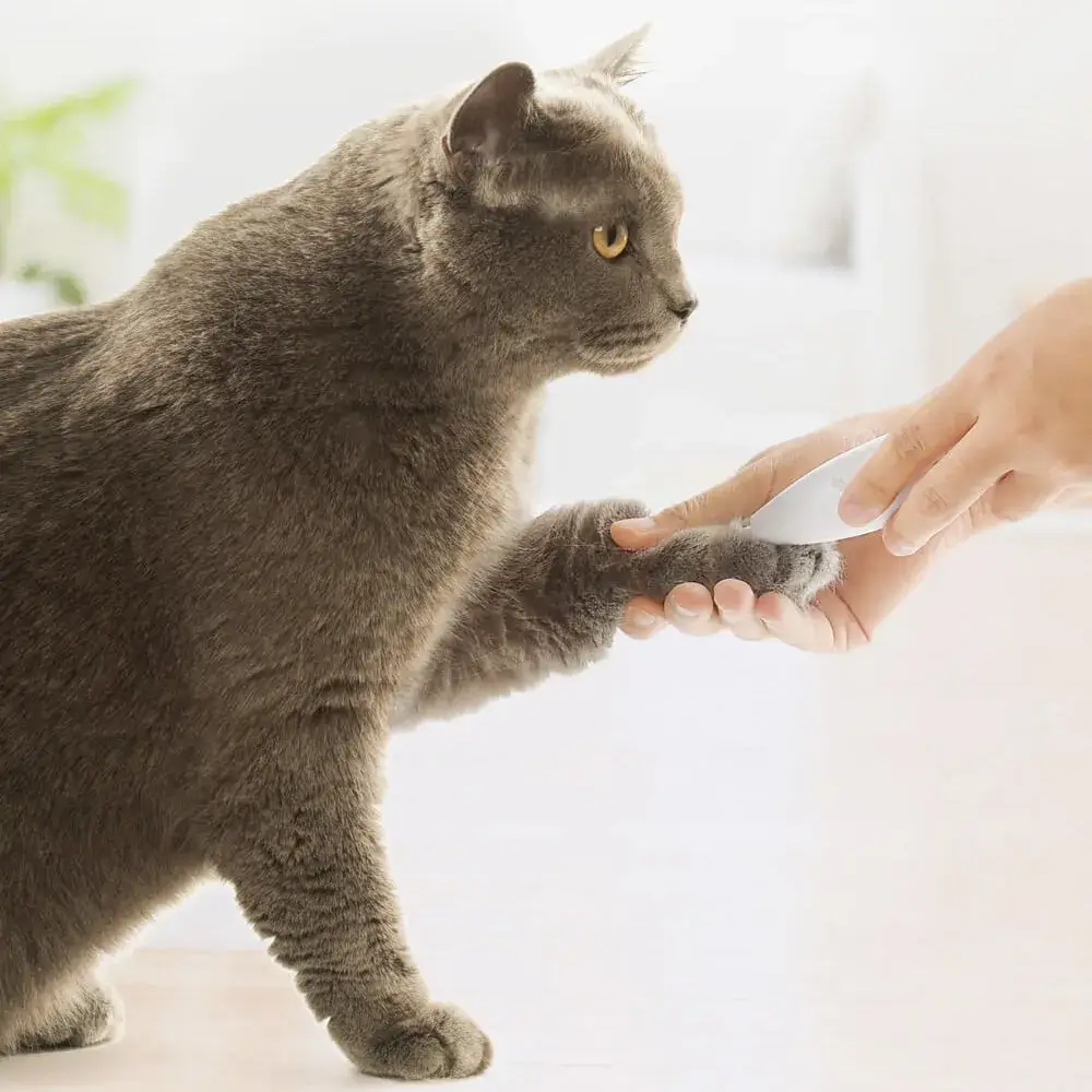 Xiaomi Pawbby MG-FP001 pet hair trimmer used for cat grooming and shaving