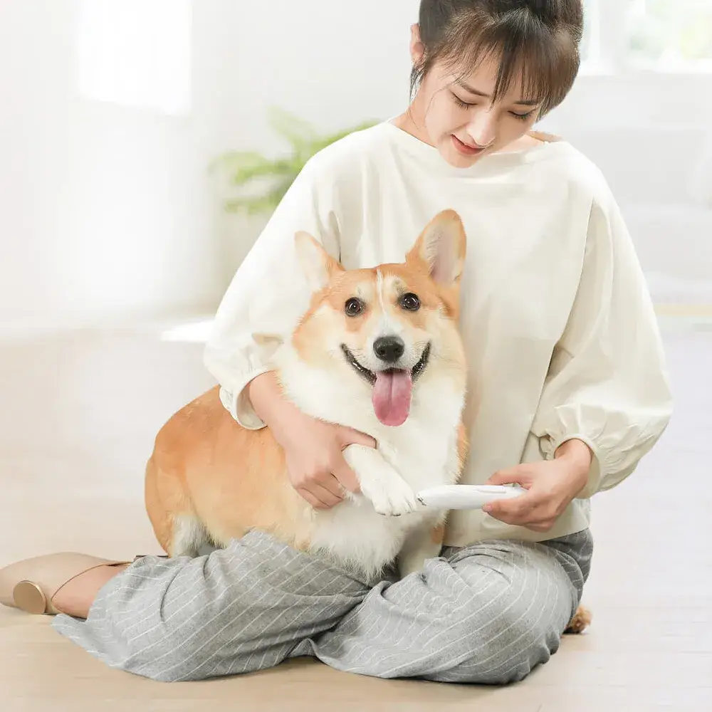 Xiaomi Pawbby Pet Hair Trimmer MG-FP001 dog and cat grooming shaver tool